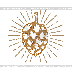 Hop in golden style . V - vector clip art