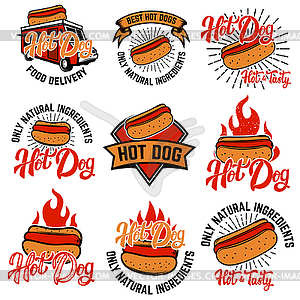 Hot dog labels. Handwritten lettering logo, label, - vector image