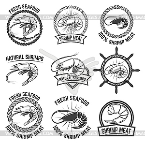 Set of shrimps meat labels . Des - vector clip art