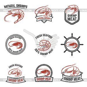 Set of shrimps meat labels . Des - vector image