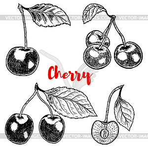 Set of Cherry s. Desi - vector image