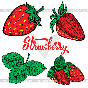 Set of strawberry. Design elements for logo, - vector image