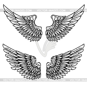 Set of eagle wings . Design elem - vector clip art