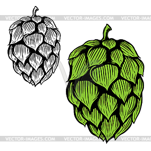 Beer hop . Design element for lo - vector clipart