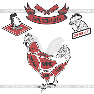 Chicken butcher diagram. Design element for - vector image