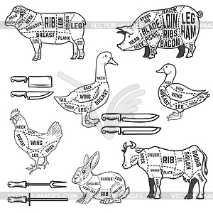 Diagram guide for cutting meat for lamb, goose, - vector image