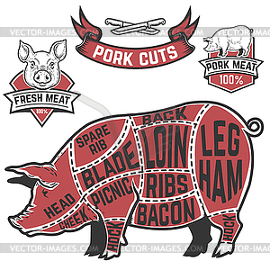 Pork cuts butcher diagram. Cow s - vector clip art