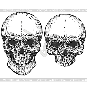 Set of human skulls . design - vector image