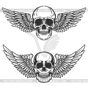 Set of winged skulls . Design elemen - stock vector clipart