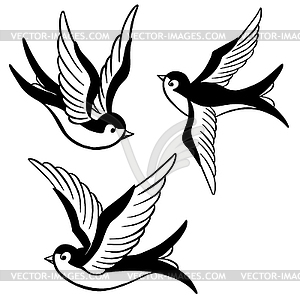 Set of swallow icons. Design elements for poster, - vector clipart