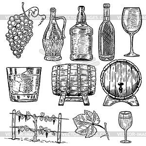 Wine. Set of wine bottles, grape, glass, wood - vector clipart