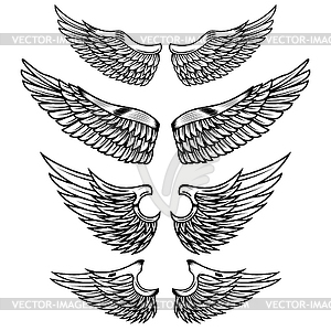 Set of wings . Design elements f - vector image