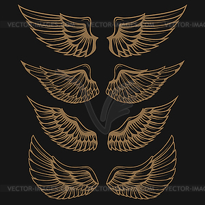 Set of golden wings on dark background - stock vector clipart