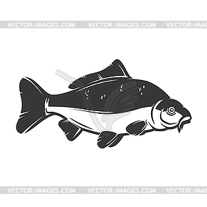 Vintage Carp Fishing Logo. Vector illustration. #Ad , #Sponsored, # Fishing#Carp#Vintage#illustration