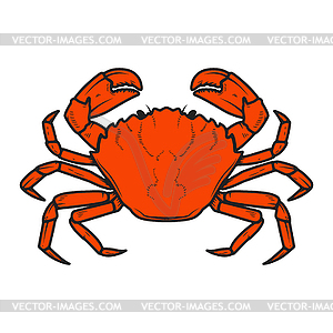 Crab icon . Design elements for logo, label, emblem - vector image