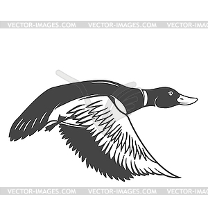 Wild duck icon . Design elements for logo, label, - vector clipart