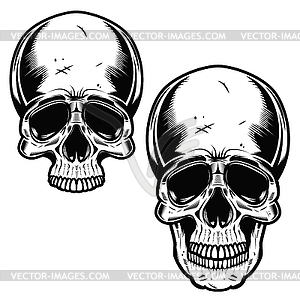 Коллекция черепов в монохромном режиме. Черепа s - векторный клипарт