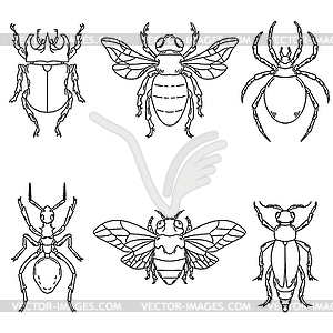 Set of beetle s - vector clip art