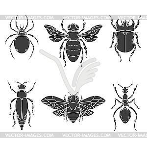Set of insects s - royalty-free vector clipart
