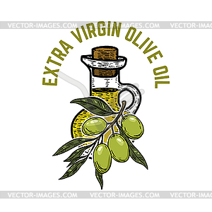 Olive oil label template. Extra virgin olive oil - vector clipart