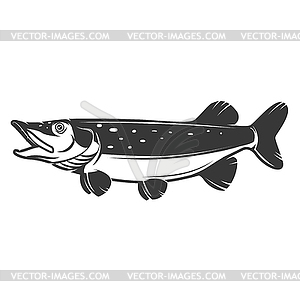 Pike fish icon . Design elements for logo, label, - vector clipart