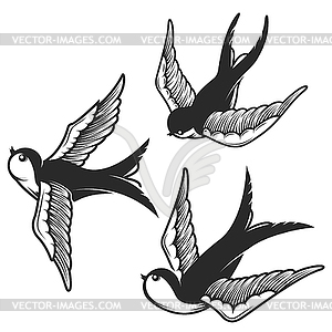 Set of swallow s . Design elements for emblem, sign - vector clipart