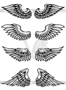 Set of wings  - vector clipart