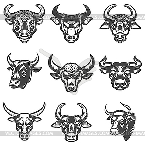 Set of bull heads  - white & black vector clipart