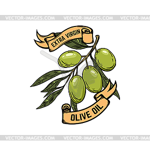 Extra virgin olive oil. Olives  - vector clipart