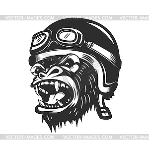 Angry gorilla ape in racer helmet. Design element - vector clip art