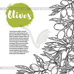 Olives. Flyer template with border of olive branch - vector image