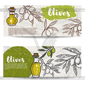 Set of olive oil flyers. Olive branch - vector EPS clipart