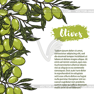 Olives. Flyer template with border of olive - vector clipart