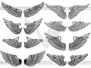 Set of vintage wings s  - vector image