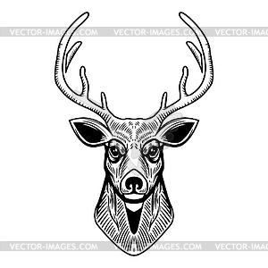 Deer head . Design element for emblem, sign, poster - white & black vector clipart