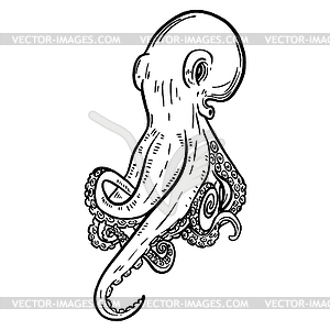 Octopus . Seafood. Design element for logo, label, - vector clipart