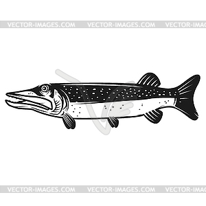 Pike fish icon . Design element for logo, label, - vector clipart