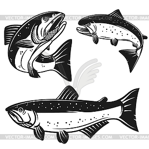 Набор иконок лососевых рыб. Элемент дизайна для - изображение в векторном виде