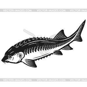 Sturgeon fish icon . Design element for logo, label - vector clip art