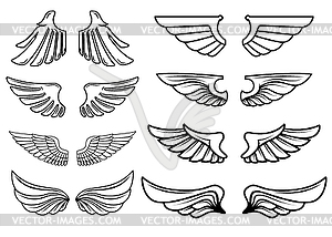 Set of wings icons. Design elements for logo, label - vector image