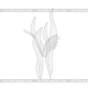 Long Seaweed Sea Underwater Nature Adult Black And - vector image