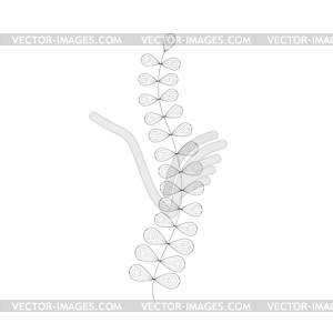 Beautiful Algae Sea Underwater Nature Adult Black - vector EPS clipart