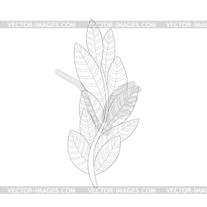 Algae Plant Sea Underwater Nature Adult Black And - stock vector clipart