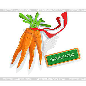 Bunch Of Carrots With Red Ribbon Fresh Organic - vector image