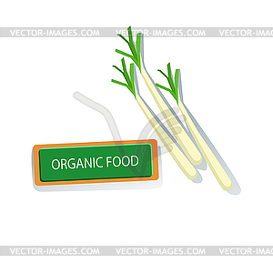 Три растения шалот Свежие органические овощи - изображение в векторе / векторный клипарт