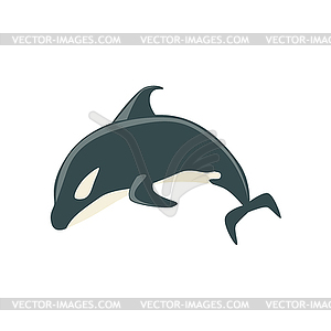 Orca Black And White Arctic Killer Whale Swimming, - vector clipart