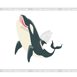 Orca Black And White Arctic Killer Whale Asking - vector image