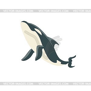 Orca Black And White Arctic Касатка Запрашиваемая - рисунок в векторе