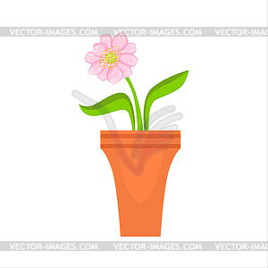 Home Single Pink Flower In Flowerpot, Flower Shop - vector image