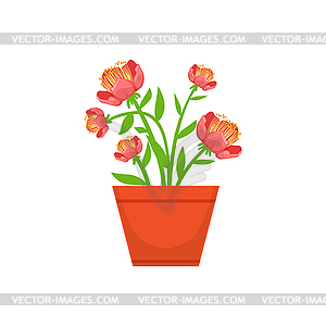 Home Bushy Red Flower In Flowerpot, Flower Shop - vector clipart